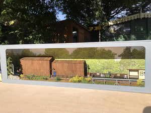 55cm Model Railway Shelf Diorama optional Fiddle Stick, lighting and Shelf