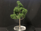 OO / OO9 / NG7 / ON30 Model Tree  - wire armature - 100mm tall