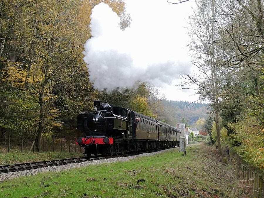Dean Forest Railway