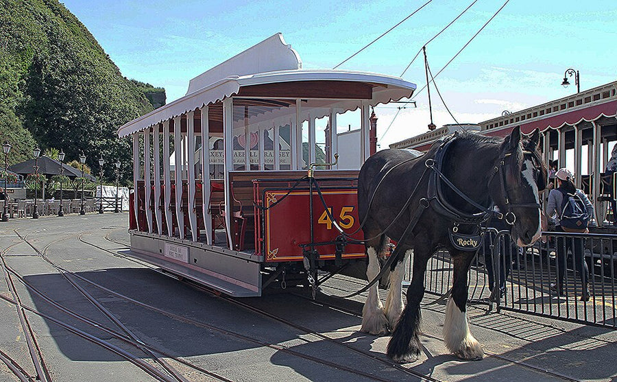 Isle of Man - Douglas Bay Horse Tramway