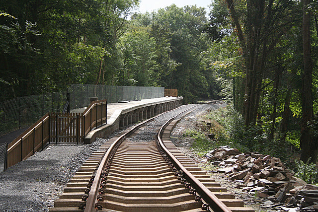 Plym Valley Railway